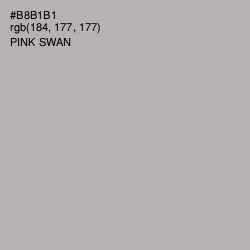 #B8B1B1 - Pink Swan Color Image